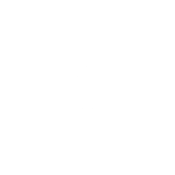 Ford logo